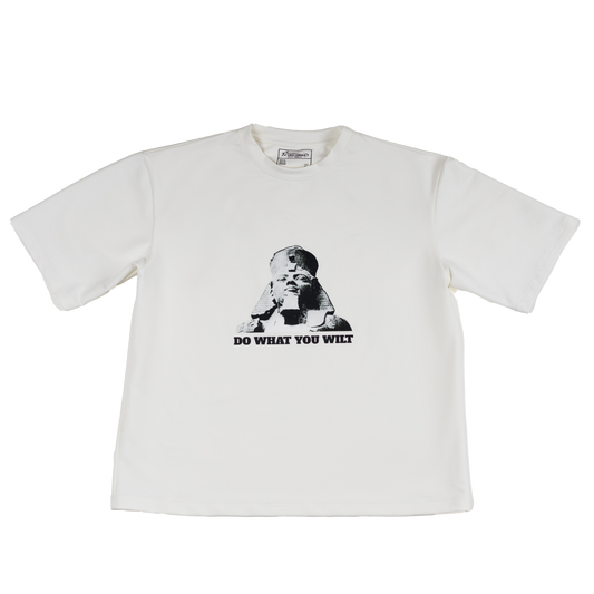 Graphic t-shirt with “Do What Thou Wilt” print – black streetwear piece by Lost Souls Society